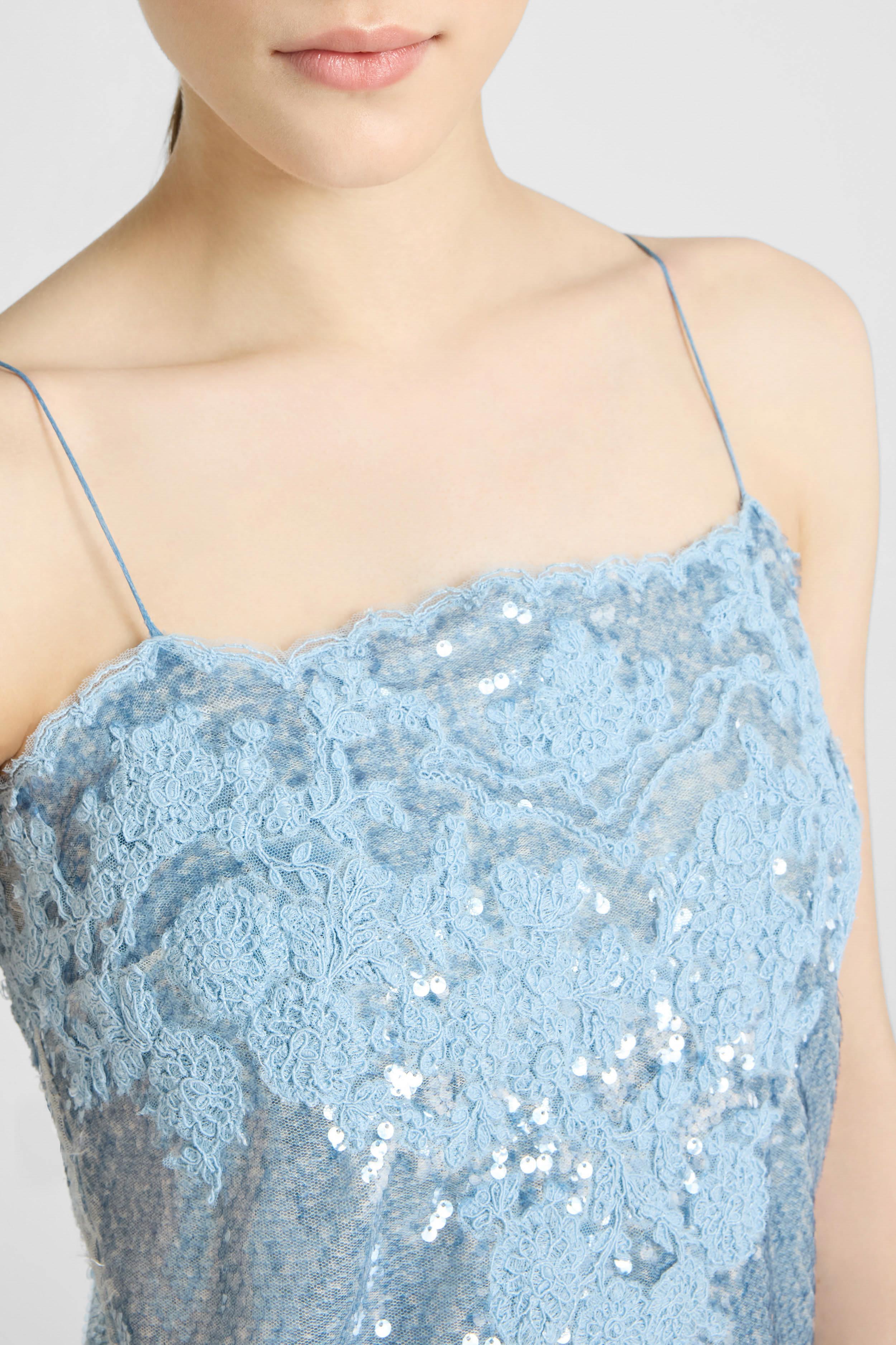 blue lace lingerie dress The Jolie Dress in Blue Tapestry Rose 14 / Blue Tapestry Rose
